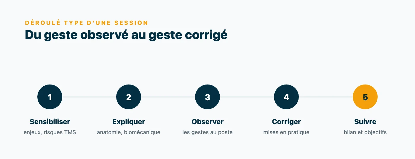 Déroulé en cinq temps d'une formation gestes et postures : sensibilisation aux risques TMS, théorie anatomique, observation des gestes au poste, mises en pratique corrigées, puis bilan et suivi.