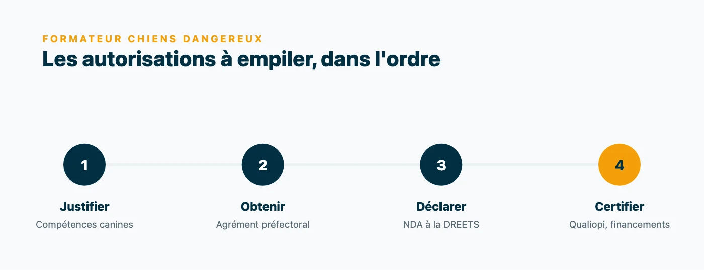 Progression en 4 etapes des autorisations du formateur chiens dangereux : competences canines, agrement prefectoral, declaration d'activite aupres de la DREETS, puis certification Qualiopi.