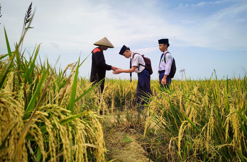 Formation agricole en milieu rural